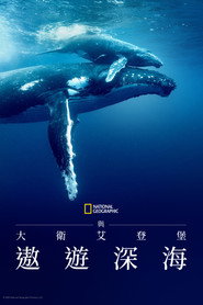 大卫·爱登堡：海洋