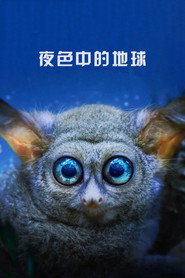 夜色中的地球