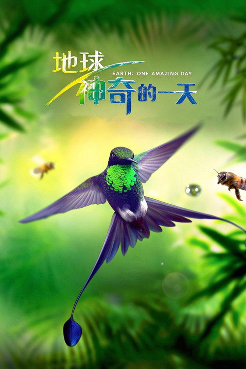 地球：神奇的一天