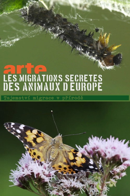 Migrations secrètes