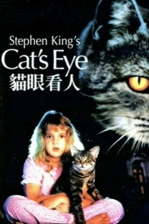 猫眼看人