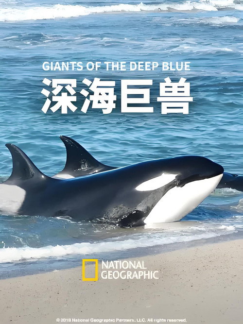 深蓝巨兽