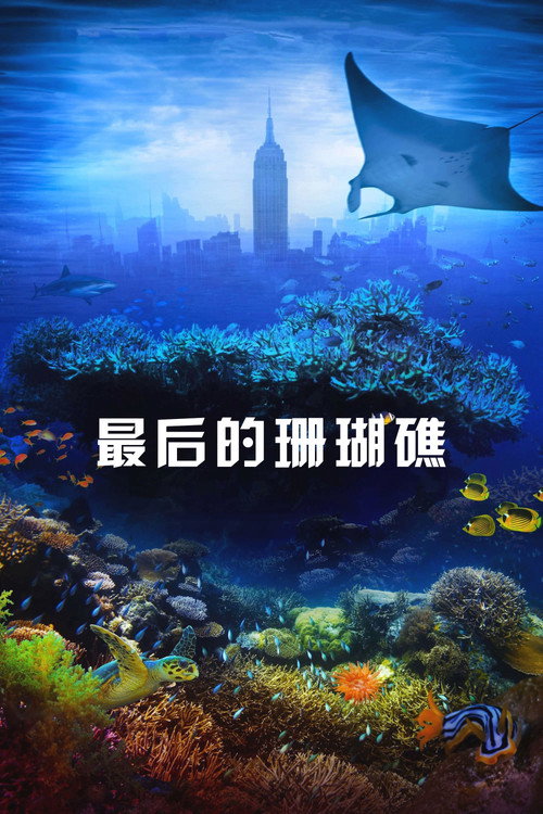 最后的珊瑚礁：海底世界