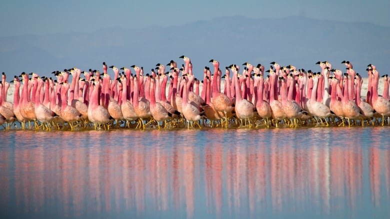 Planet Earth II 1