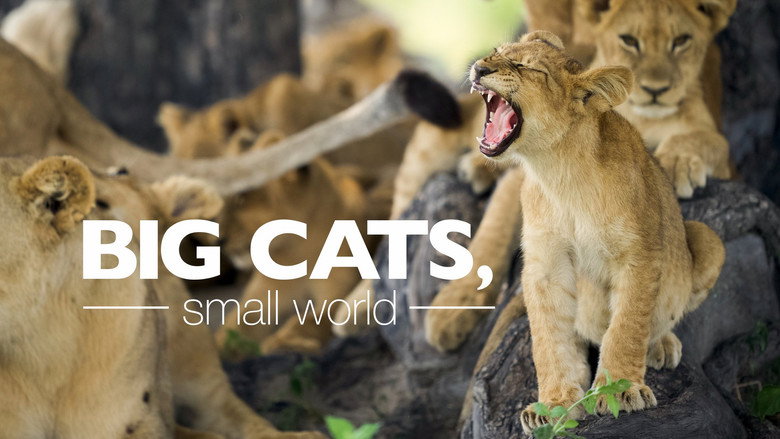 Big Cats, Small World 3