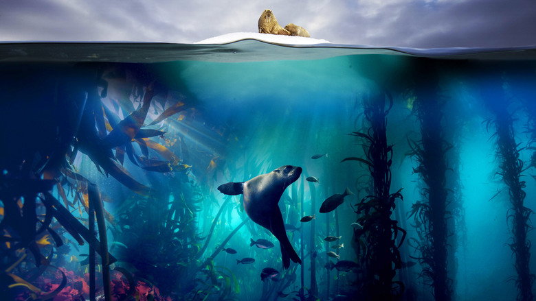 Blue Planet II 1