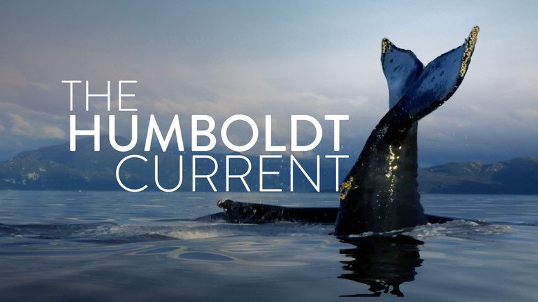 The Humboldt Current 1