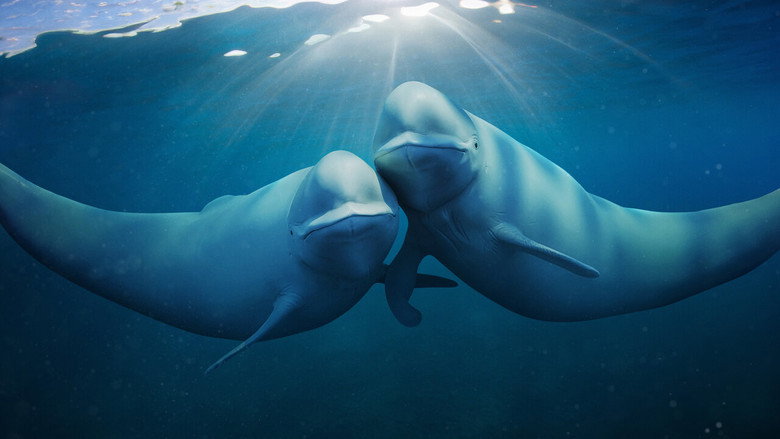 Our Oceans 3