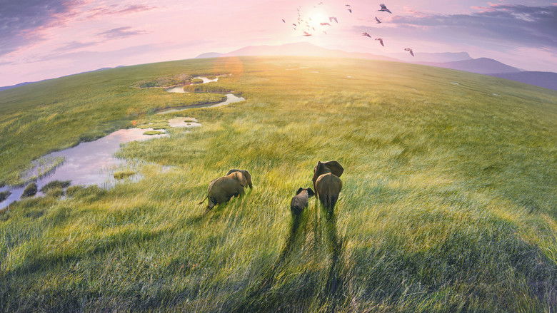 Planet Earth III 1