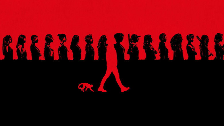 Y: The Last Man 6