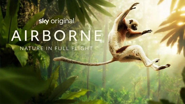 Airborne 4