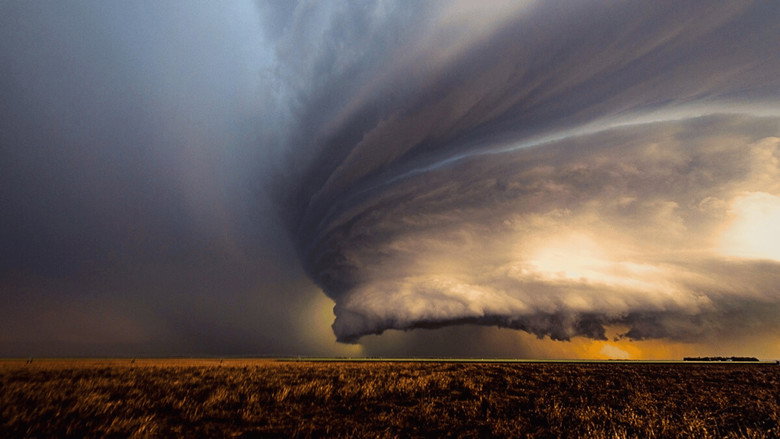 Wild Sky 2