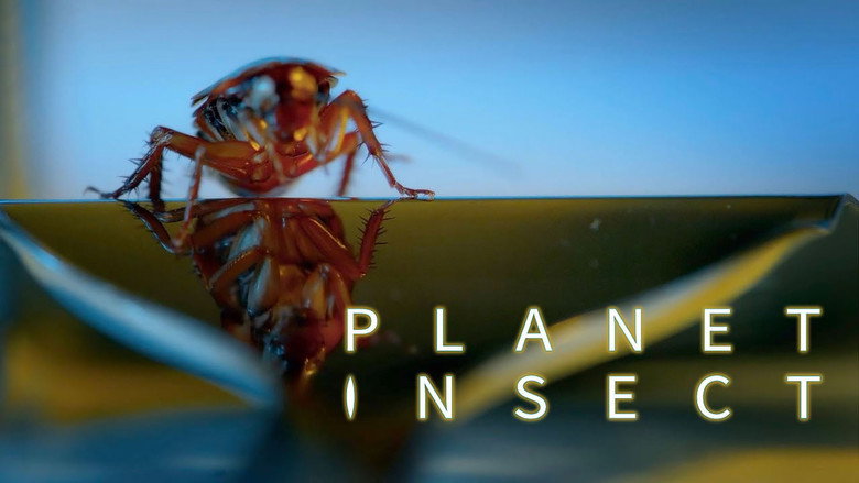 Planet Insect 1
