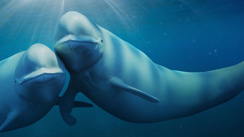 Our Oceans 4