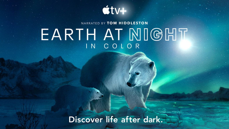 Earth at Night in Colour 4