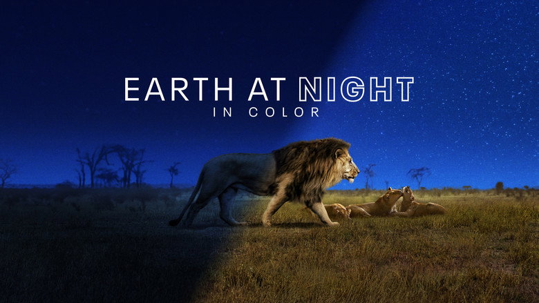 Earth at Night in Colour 5