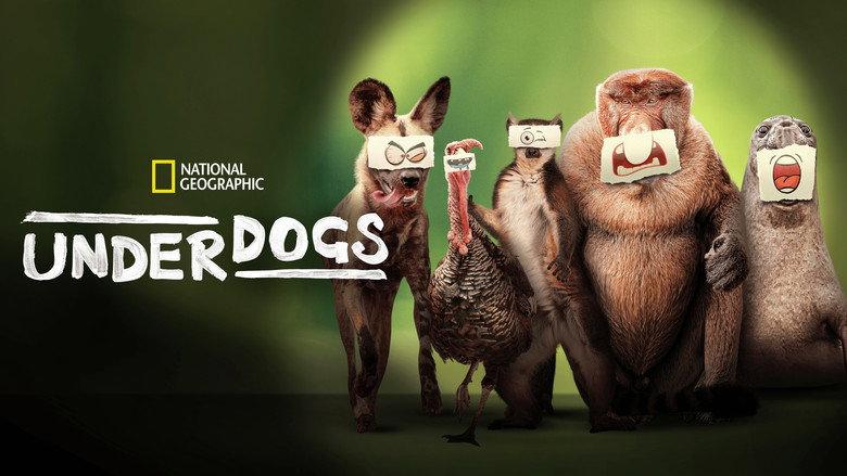 Underdogs 6