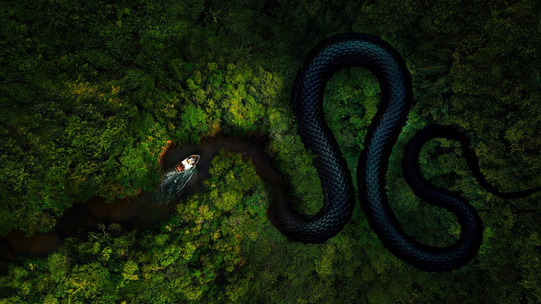 The Mosquito Coast 6