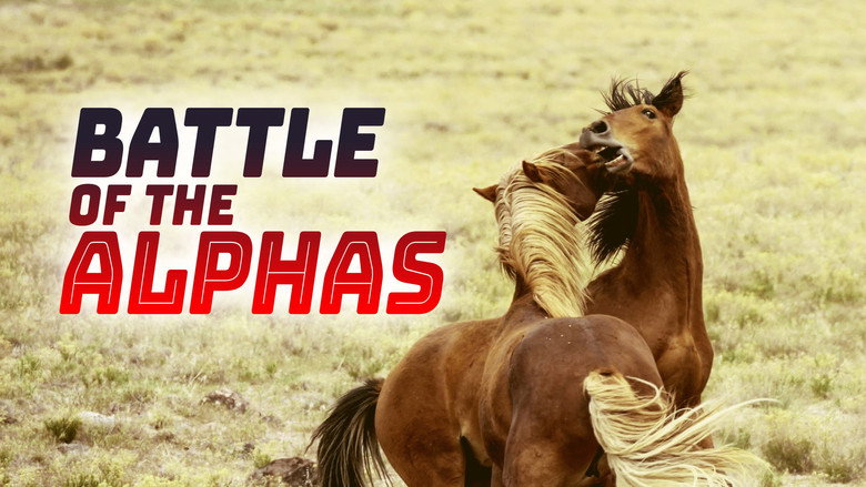 Battle of the Alphas 4