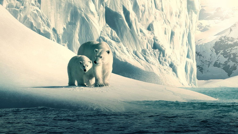 Our Planet 2