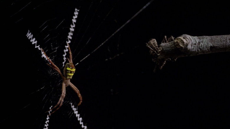 Micro Monsters with David Attenborough 4