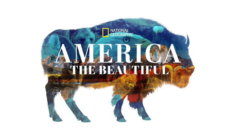 America the Beautiful 2