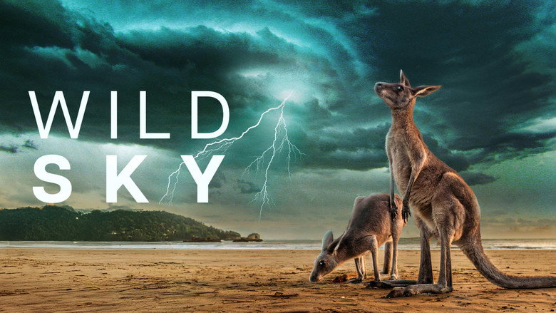Wild Sky 4