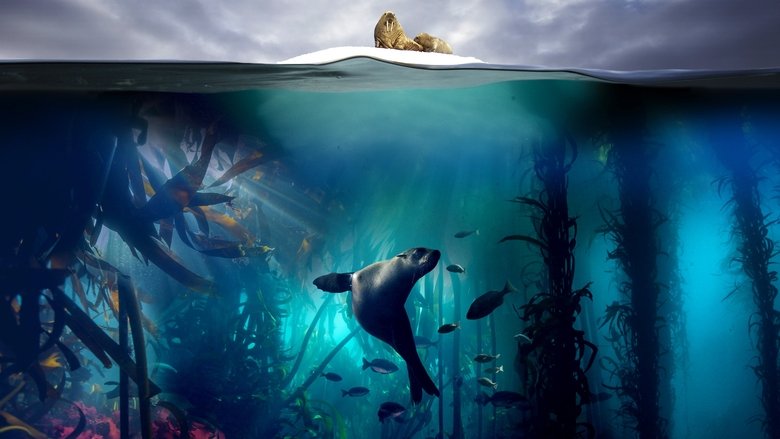 Blue Planet II 2