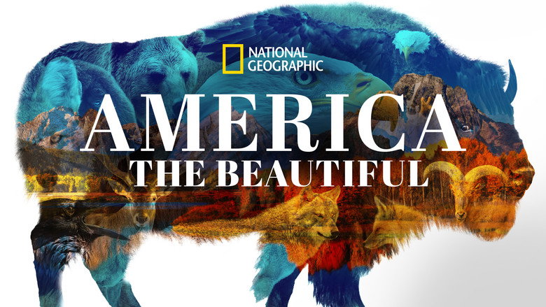 America the Beautiful 3
