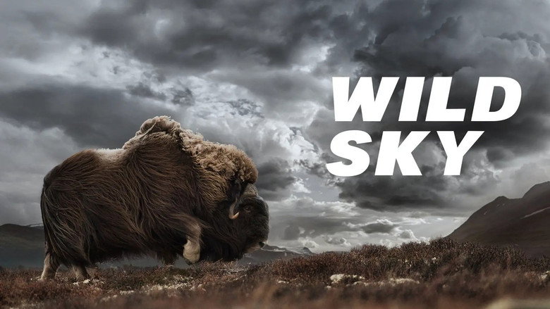 Wild Sky 1