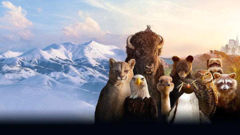 The Americas 4