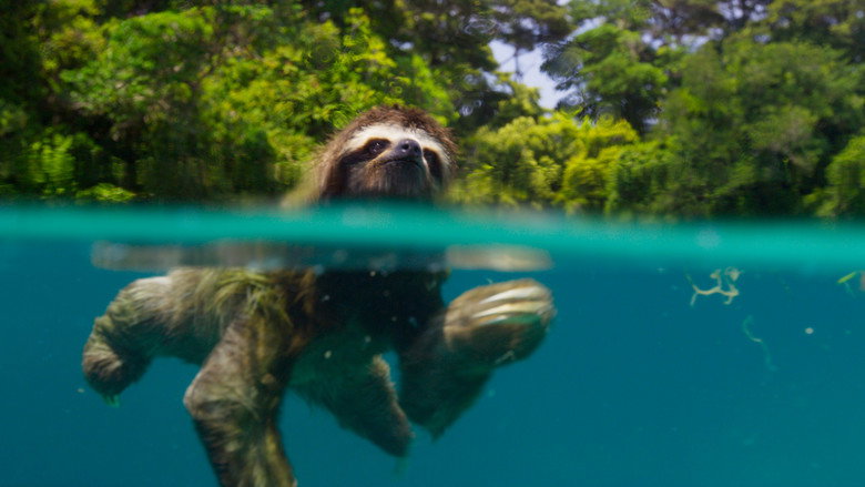 Planet Earth II 6