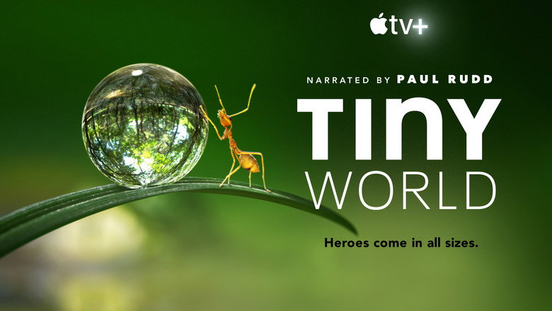 Tiny World 6