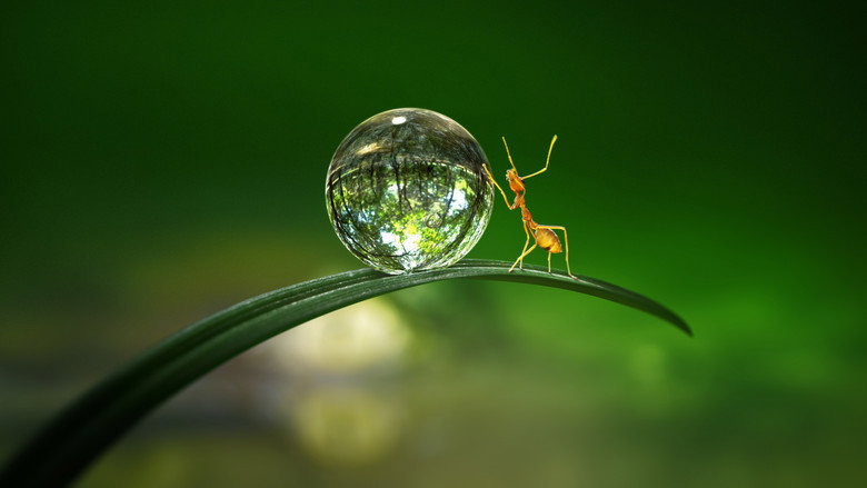Tiny World 4
