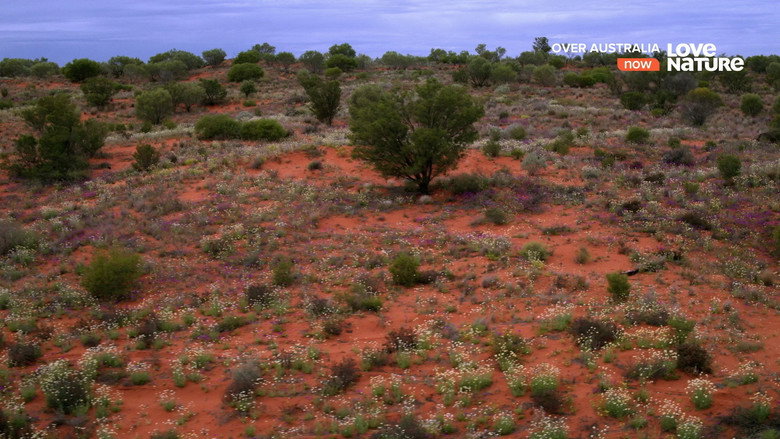 Over Australia 5