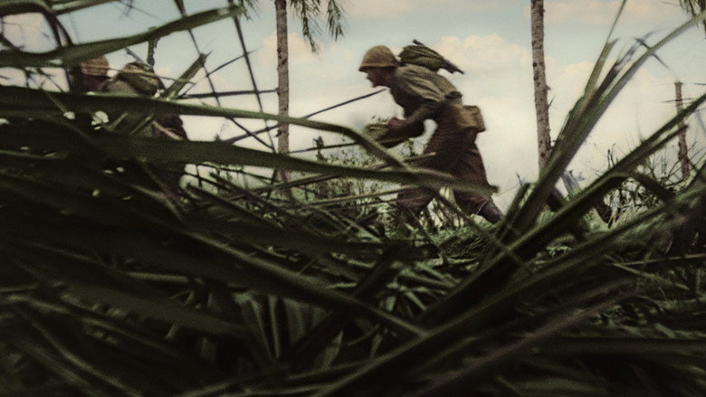 World War II: From the Frontlines 6