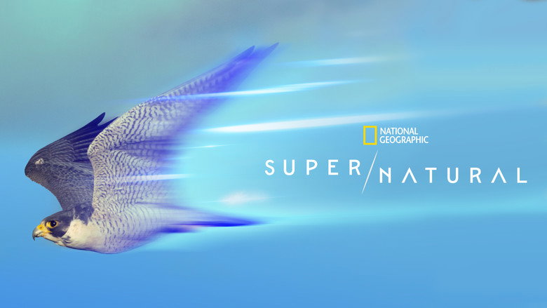 Super/Natural 6