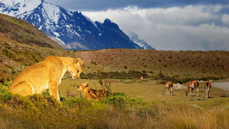 Our Great National Parks 2