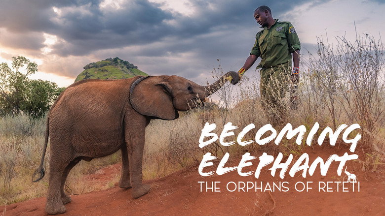 Becoming Elephant: The Orphans Of Reteti 1