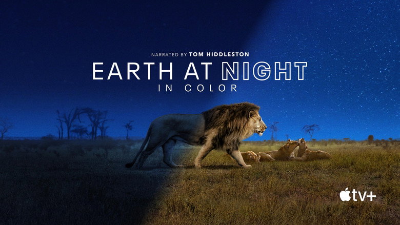 Earth at Night in Colour 3