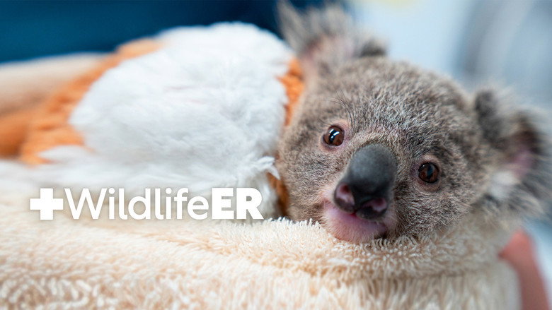 Wildlife ER 1