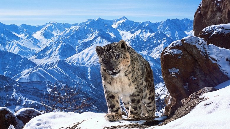 Planet Earth II 2