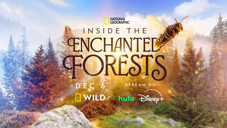 Inside the Enchanted Forests 2