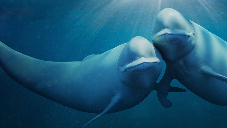 Our Oceans 2