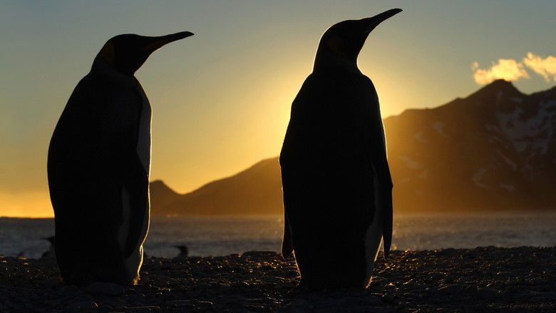 Frozen Planet 3