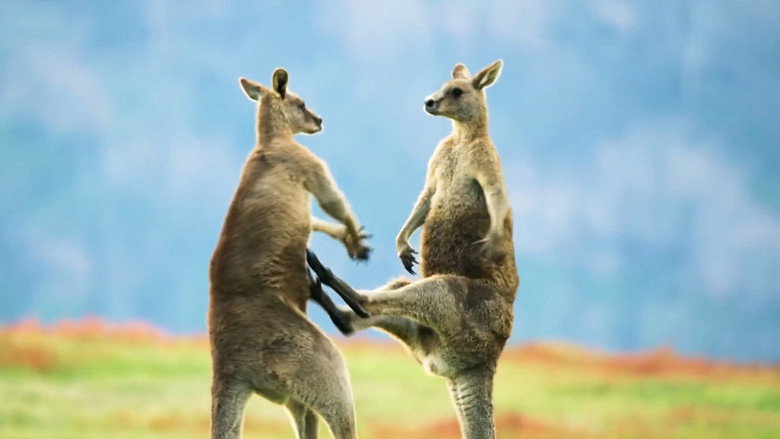 The Mating Game 5