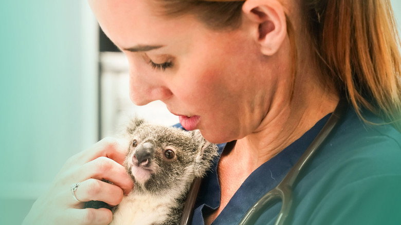 Wildlife ER 2
