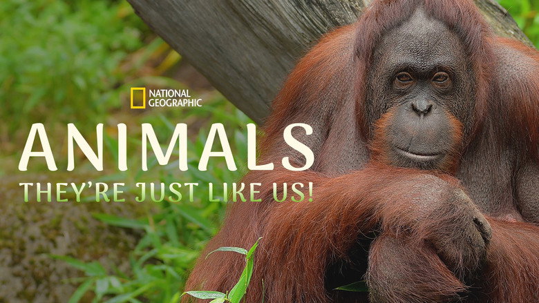 Animals, They're Just Like Us! 1