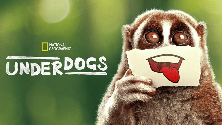 Underdogs 5