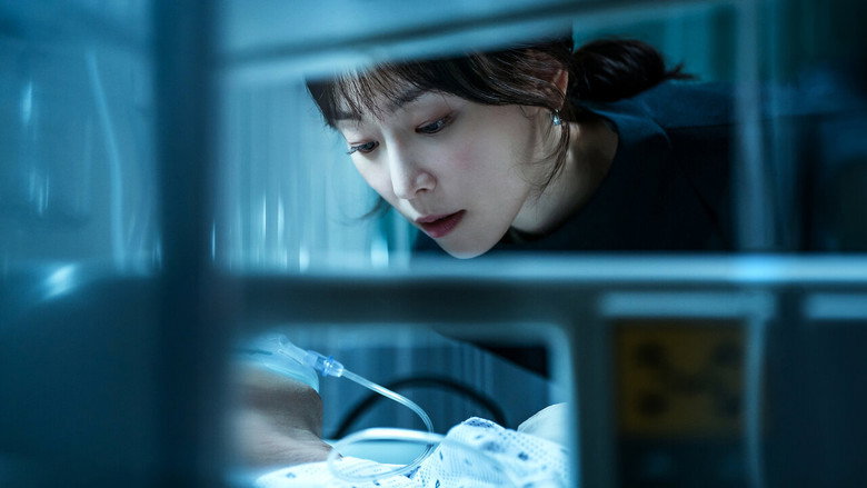 트렁크 6